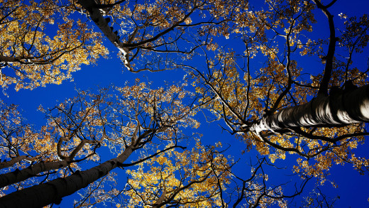 759146 (a): :2844x1600